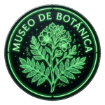 Botanica