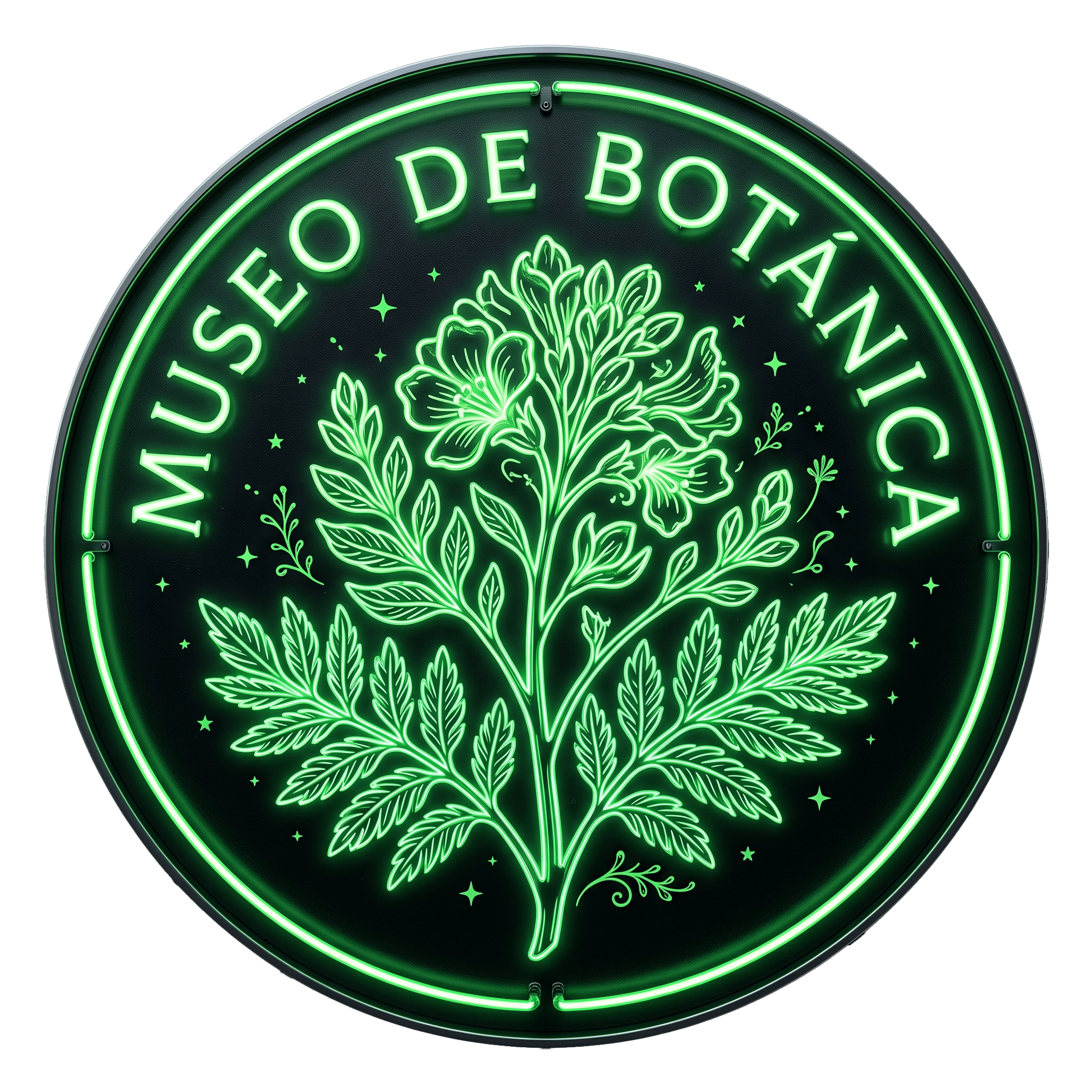 Botanica