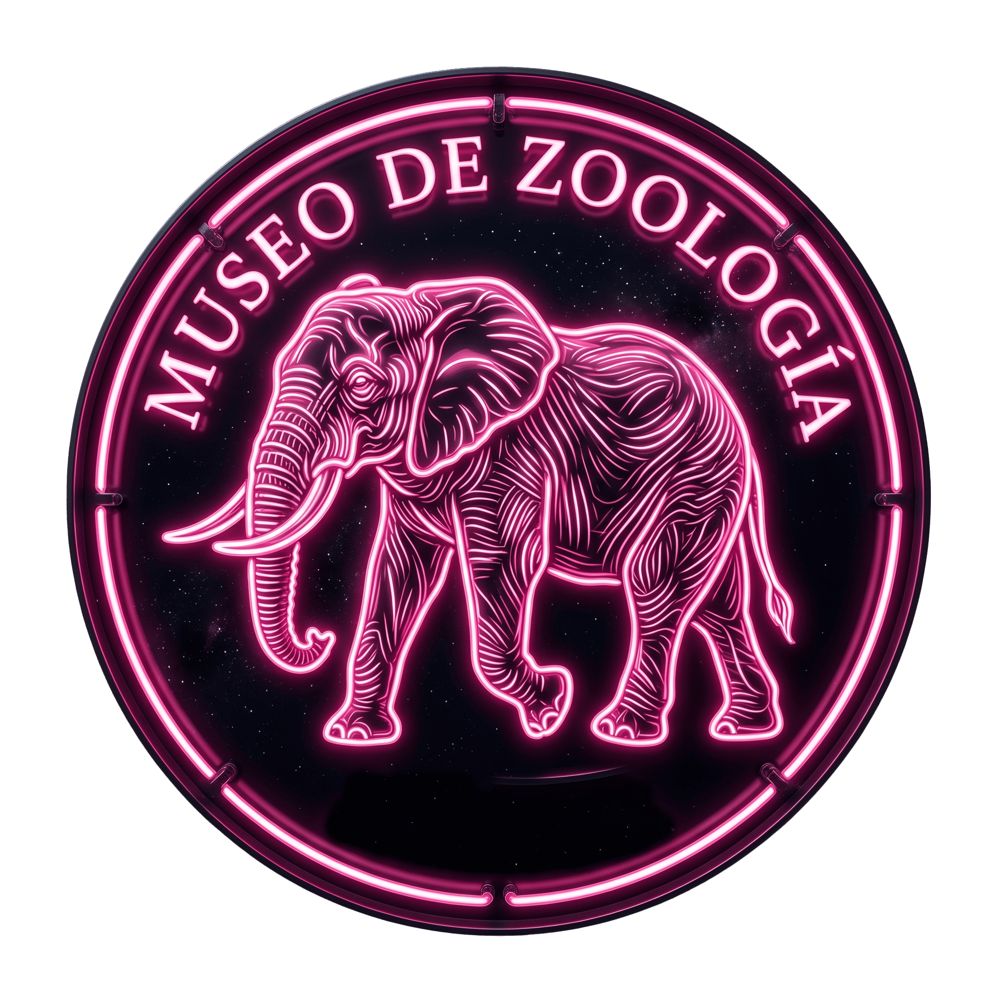 Zoologia