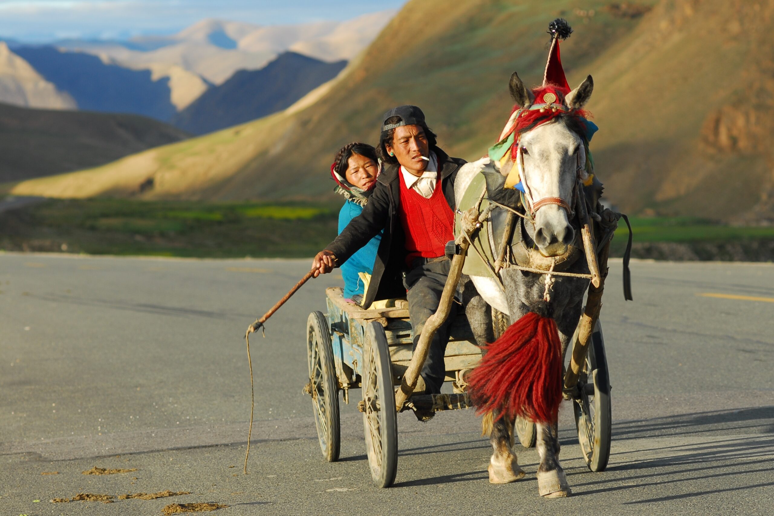 horse-drawn-carriage-952688 horse-drawn-carriage-952688